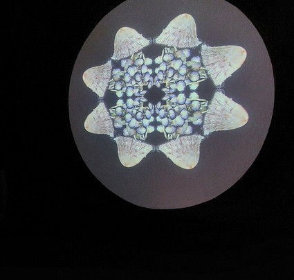 Modern Art Museum-昆卡必去景点