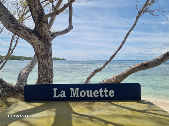 La Mouette Martial-开普马欧呵必去景点