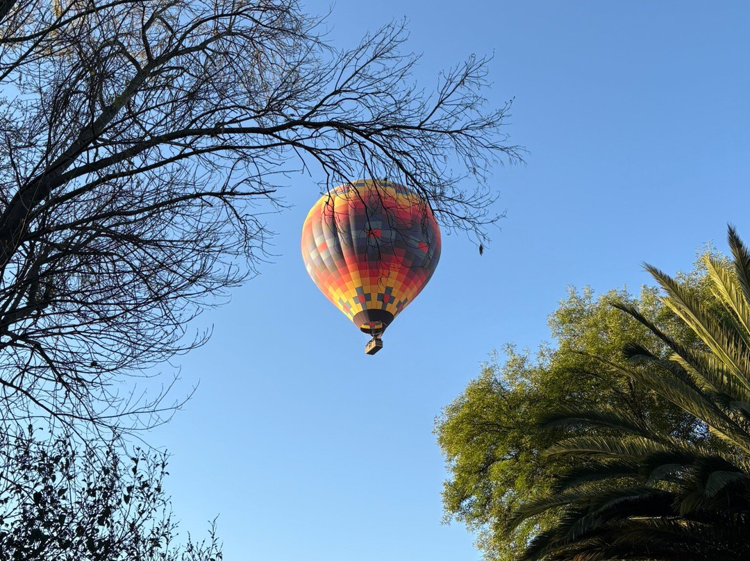科利布里客栈主图