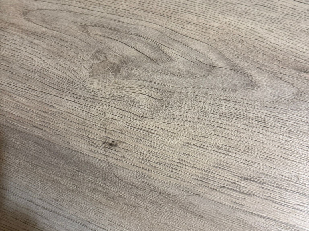 D-reizen-阿姆斯特丹必去景点