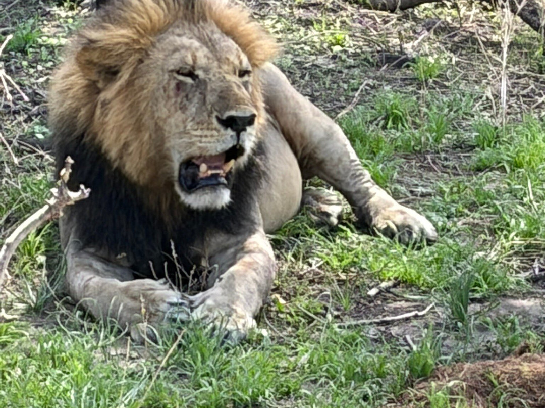 Jaynevy Tours-莫西必去景点