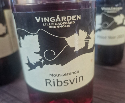 Vingaarden, Lille Gadegaard ( Vineyard )-Bornholm必去景点