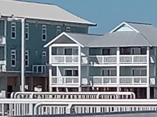 Cedar Key Adventures-锡达礁必去景点