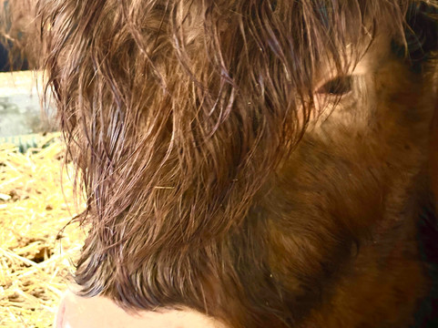 Dumble Farm-比弗利必去景点