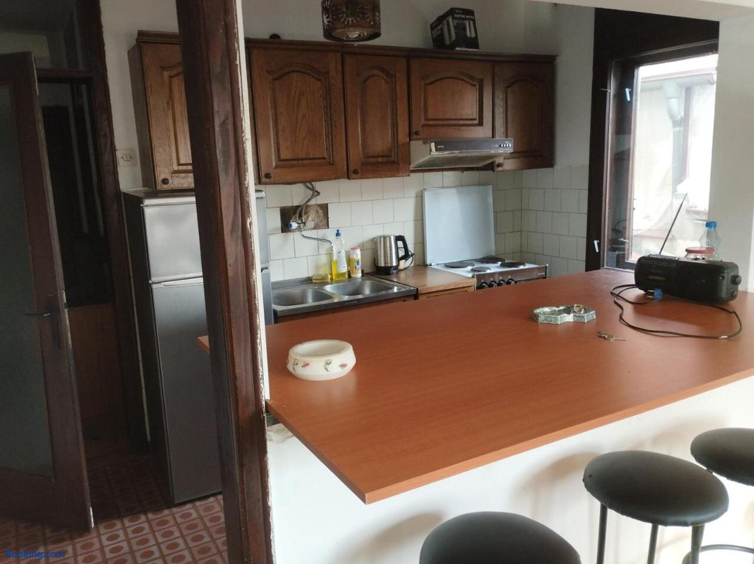 Hostel Golub
