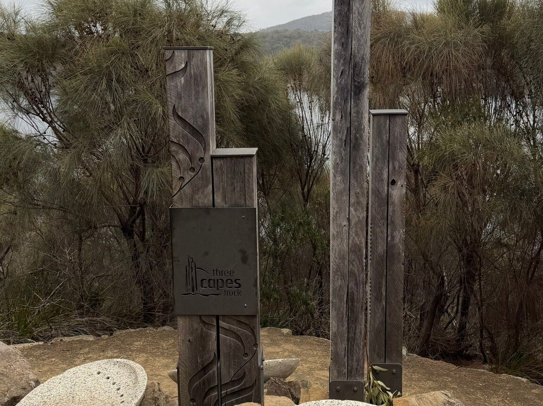 Wild Tasmania Tours-霍巴特必去景点