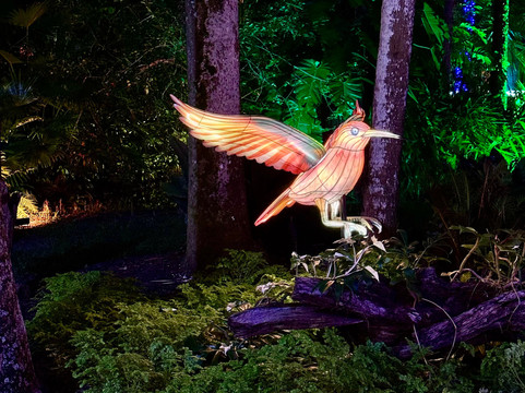 McKee Botanical Garden-维罗海滩必去景点