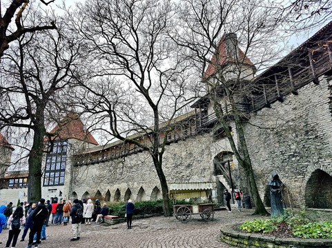 Danish King's Garden-塔林必去景点