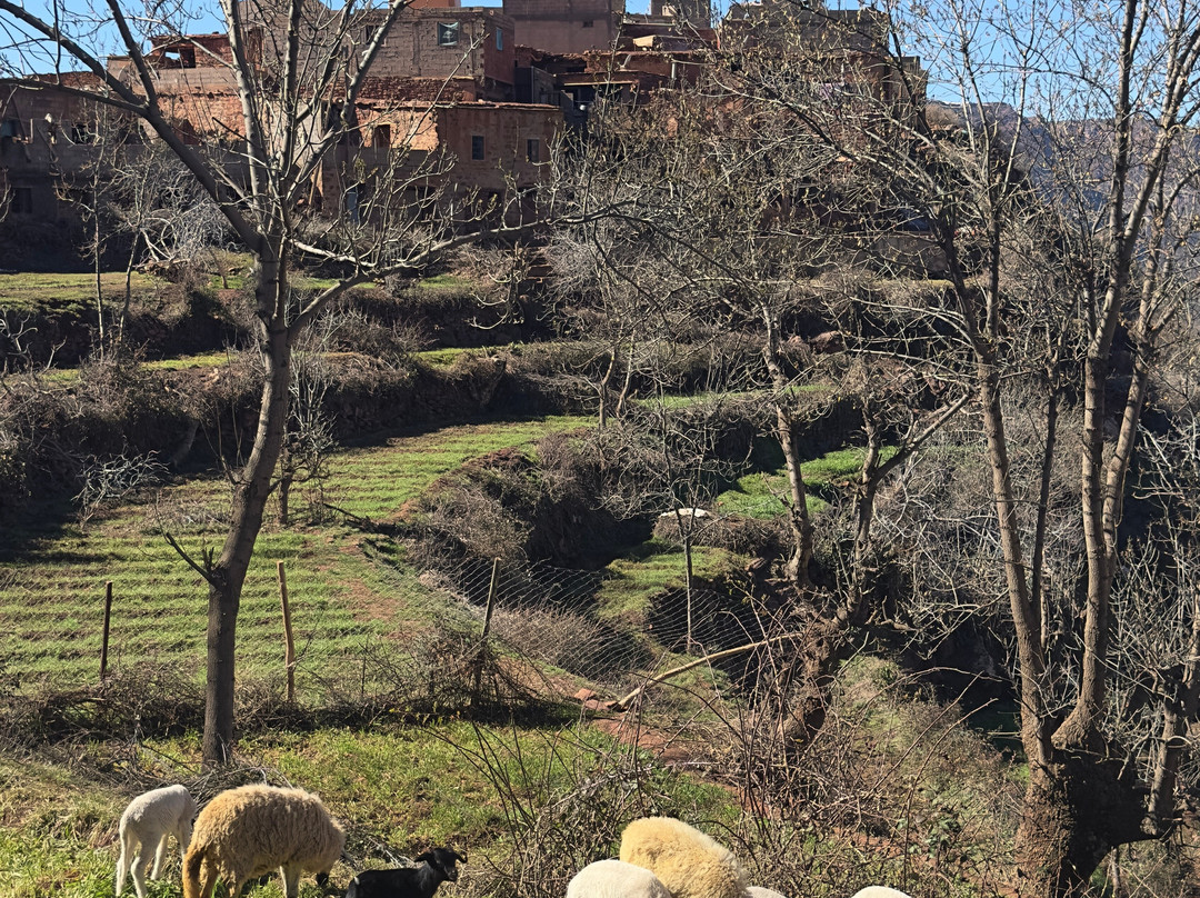 Berber Travel Experience-马拉喀什必去景点