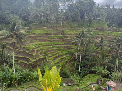 Safe Bali Driver (Ketut Suwenda) - Day Tours-登巴萨必去景点