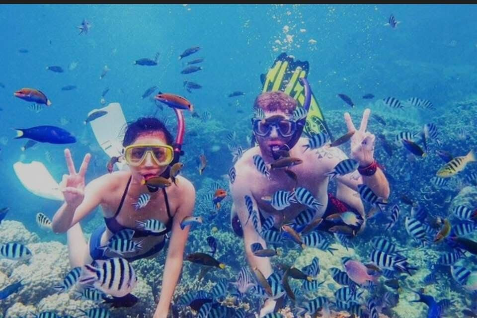 Nabq Tours Hurghada-赫尔格达必去景点