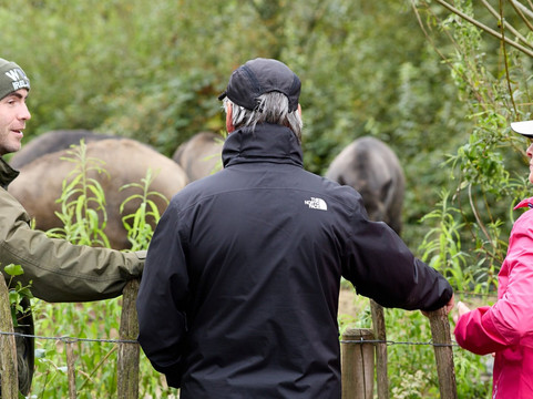 Wild Ireland-Burnfoot必去景点