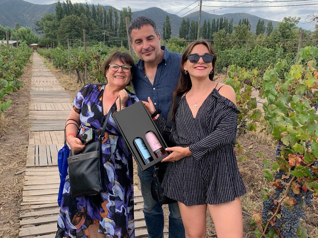 Viña Casa Acosta-San Vicente de Tagua Tagua必去景点