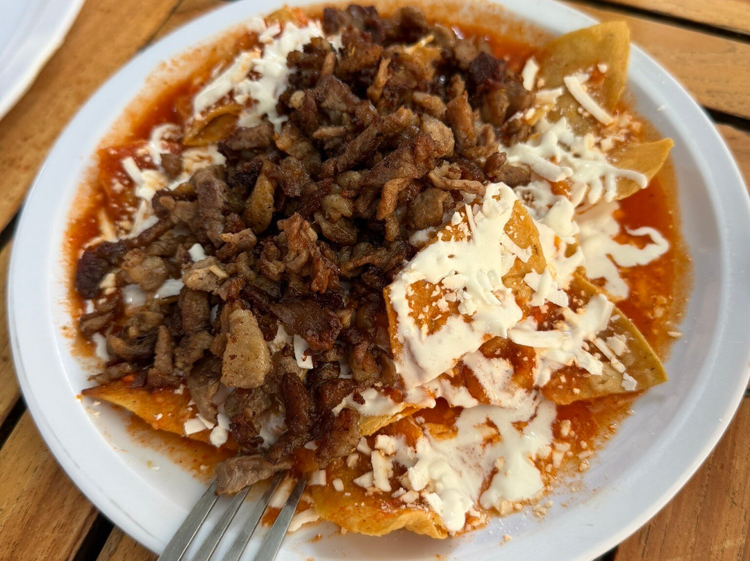 Secret Food Tours Mexico City-墨西哥城必去景点