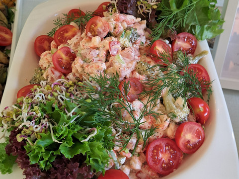 佐尔豪斯酒店主图