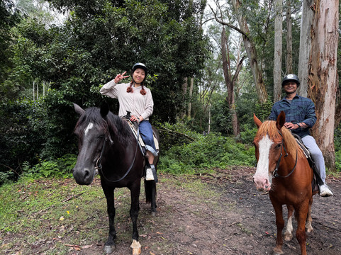 骏域谷-Glenworth Valley必去景点
