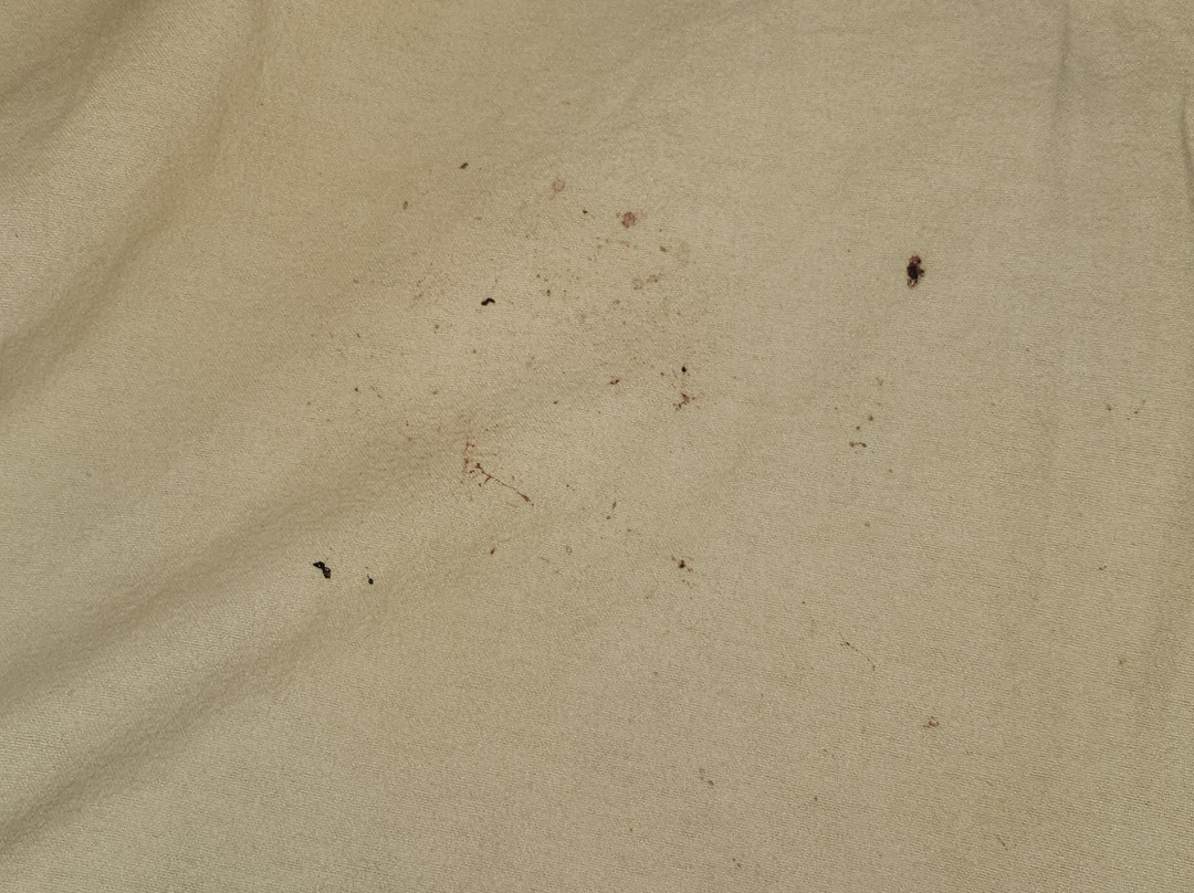 云杉山丘度假村及水疗中心主图