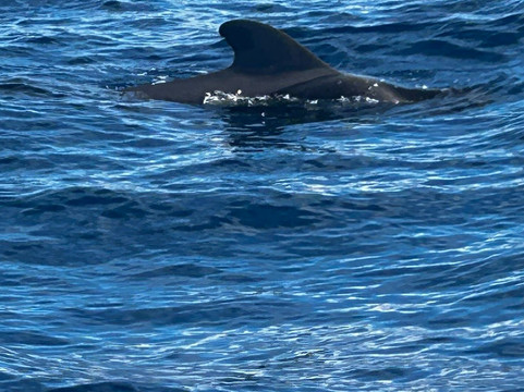 Opera 60 Luxury Charters-奥德杰海岸必去景点