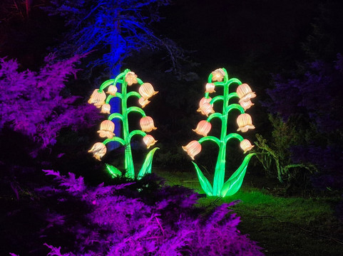 Grugapark Essen-埃森必去景点