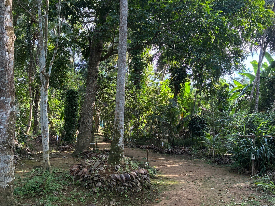 Nandana Tea Factory-Akuressa必去景点