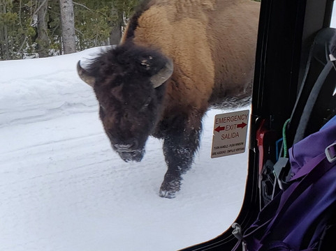Yellowstone Expeditions-西黄石镇必去景点