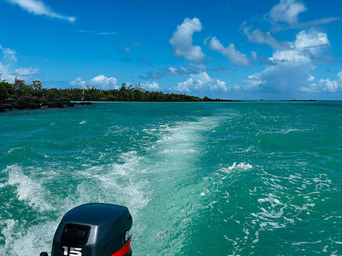 Blue Vibes-开普马欧呵必去景点