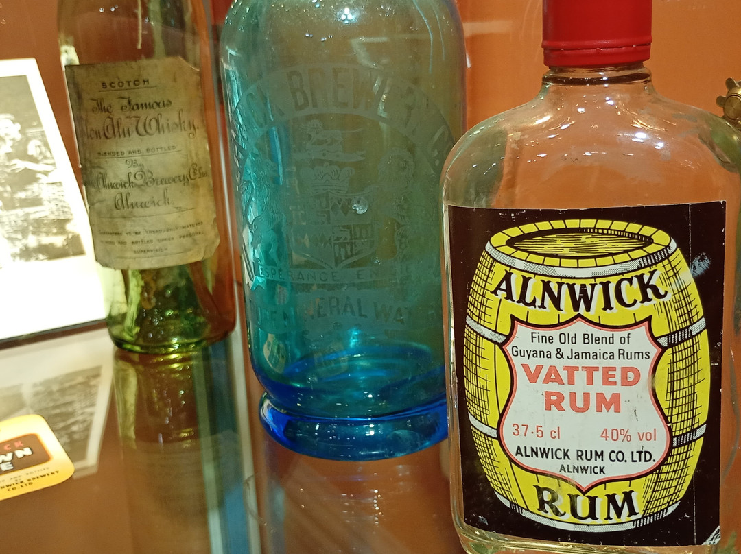 Bailiffgate Museum and Gallery-阿尼克必去景点