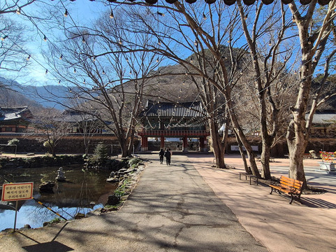 Naejangsa Temple-井邑市必去景点