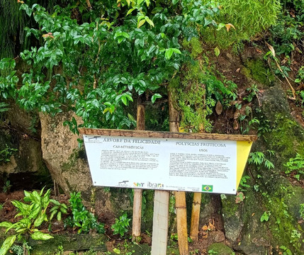 Museu Forte Defensor Perpetuo de  Paraty-帕拉地必去景点
