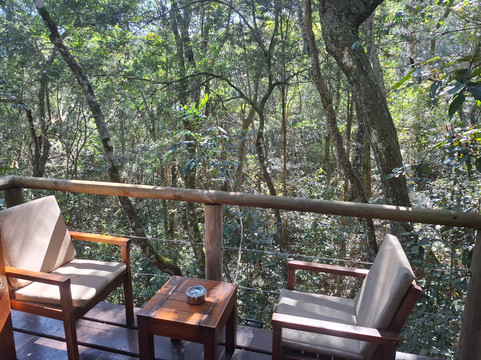 咬鹃之家森林spa酒店主图