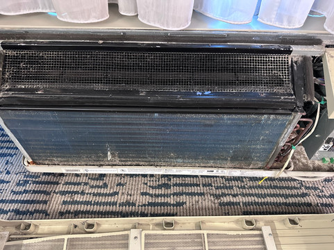 奥尔巴尼-科勒尼 SpringHill Suites 酒店主图