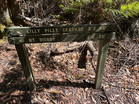 Lilly Pilly Gully-威尔逊岬国家公园必去景点