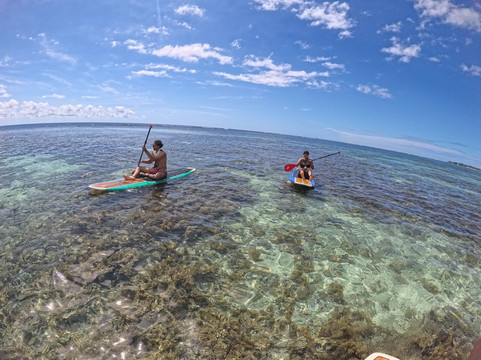 Dodo Gliders-毛里求斯必去景点