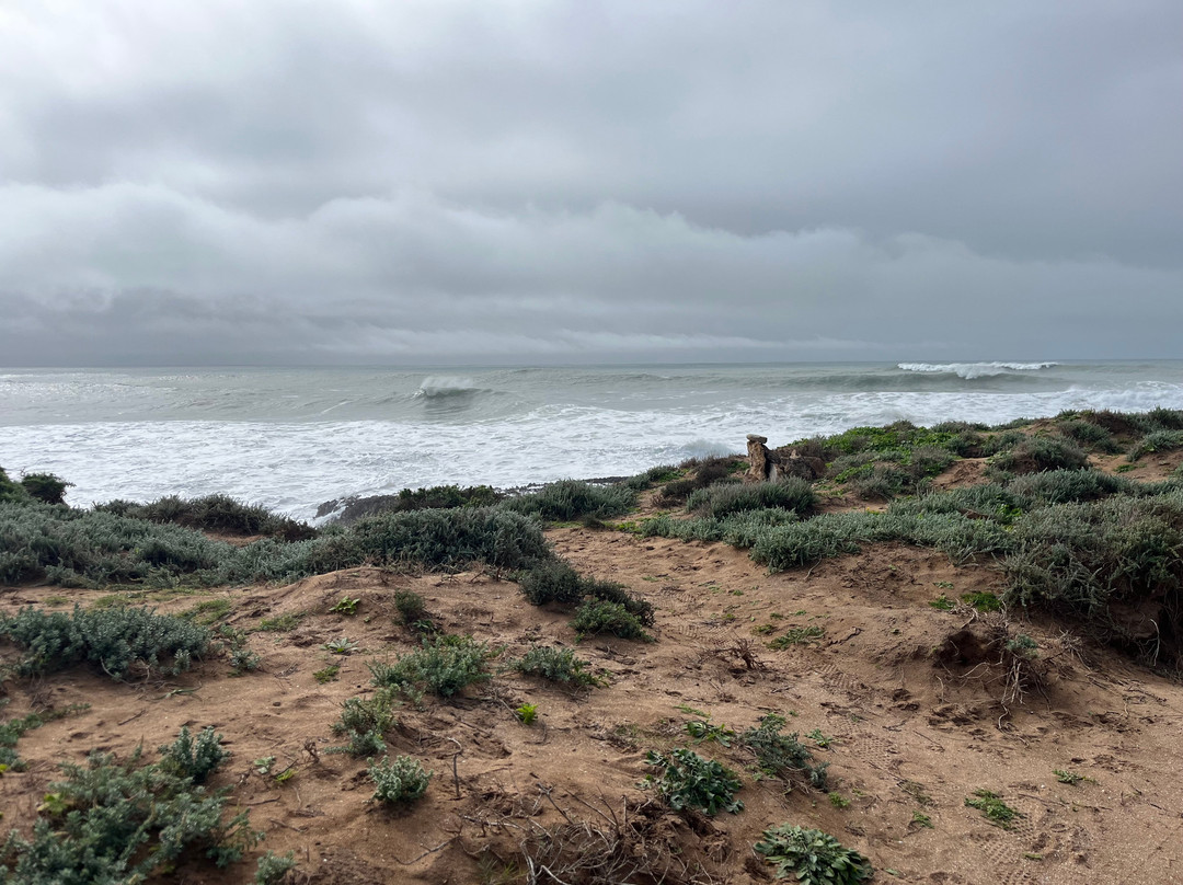 EL Faro Surfstay