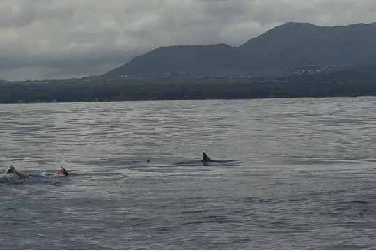 Vava Voom-巴拉克拉瓦必去景点