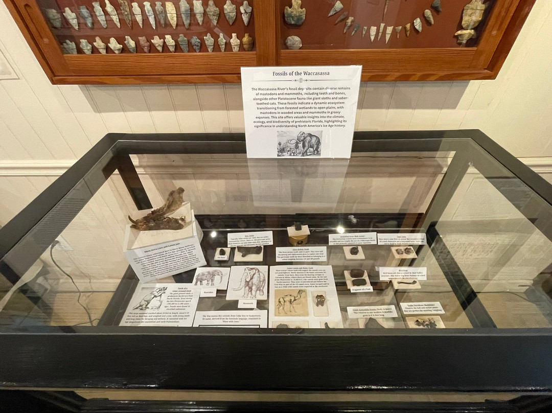 Cedar Key Historical Society Museum-锡达礁必去景点