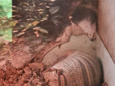 Linton Zoo-Linton必去景点