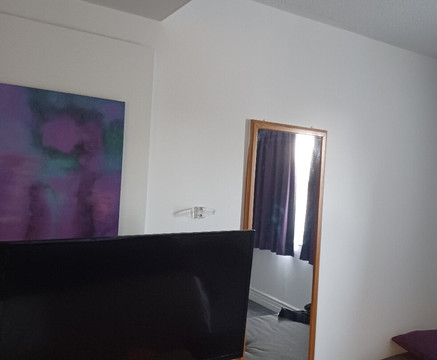 紫客房酒店主图