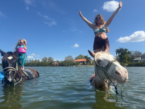 Florida Beach Horses-布雷登顿必去景点