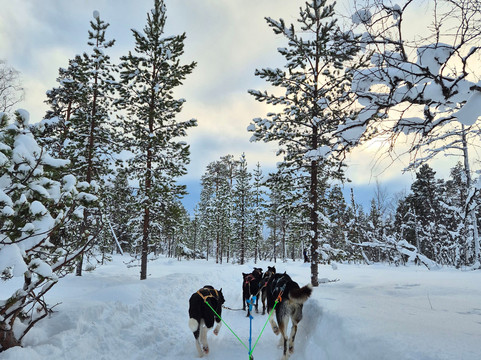 伊纳里远足之旅-伊纳里必去景点