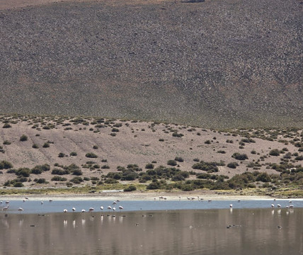 Sileia Tours-圣佩德罗-德阿塔卡马必去景点