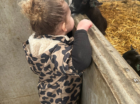 Bluebell Dairy Farm-德比必去景点