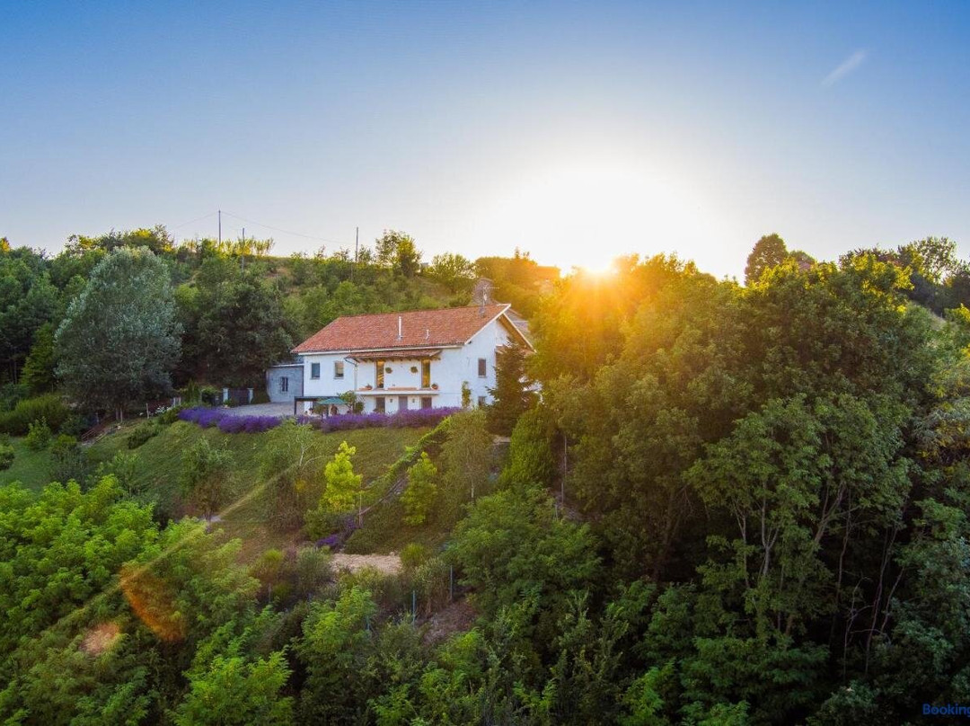 Guest House Ferri e Zani