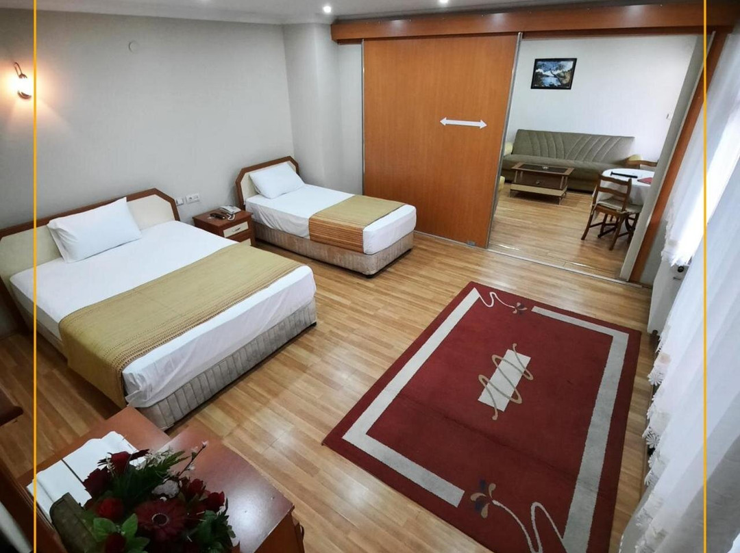 Flash Otel