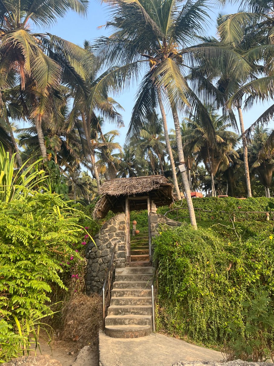索玛希拉姆印度疗养度假酒店-浴室