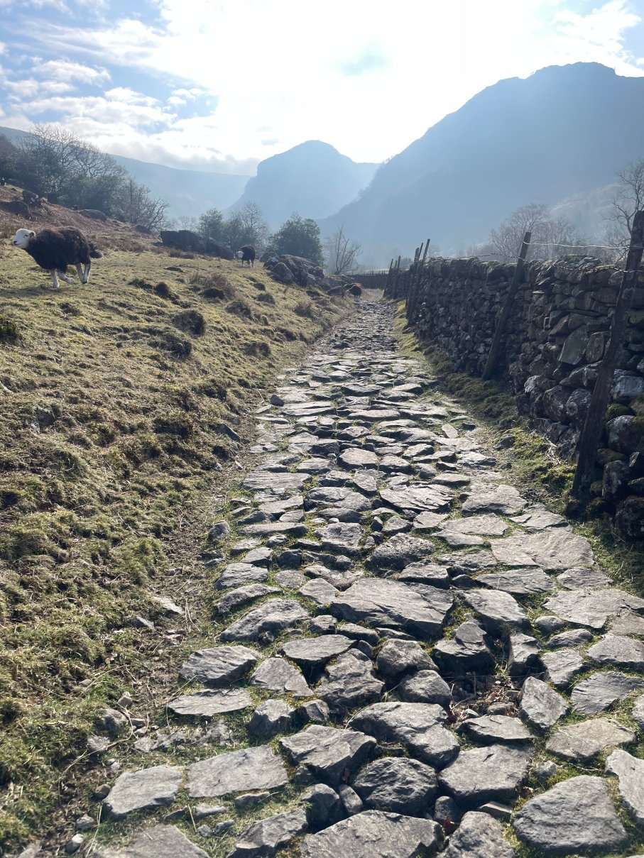 皇家橡树酒店-官方
