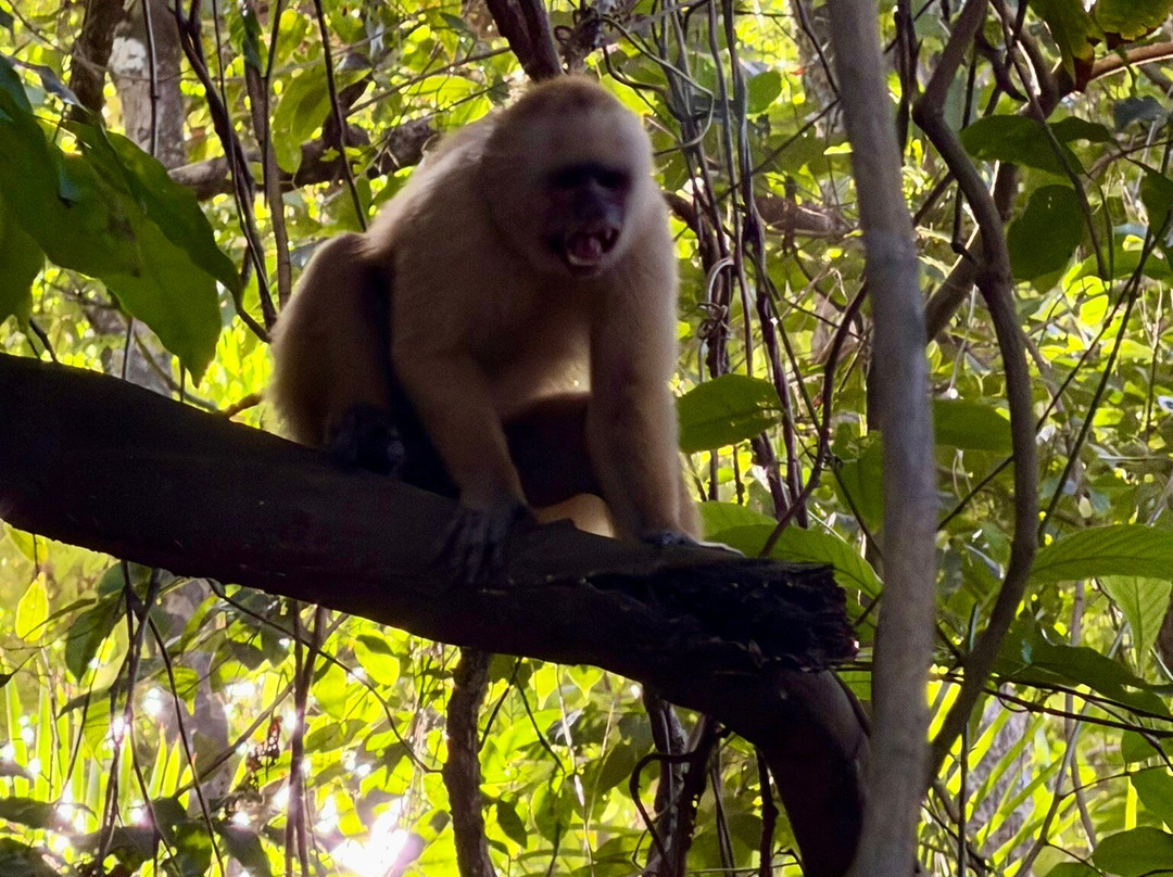 Limeland Tours-特立尼达必去景点
