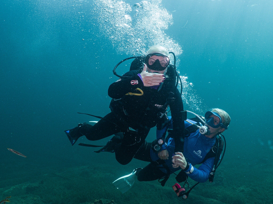 Swan Dive Busselton-巴瑟尔顿必去景点