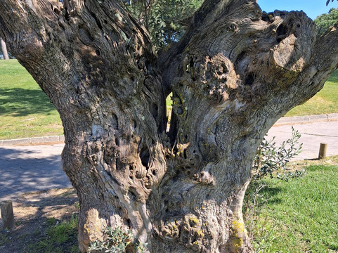 Club De Golf El Rompido-Cartaya必去景点