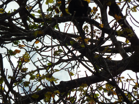 Hacienda El Viejo Wetlands-Area de Conservacion Guanacaste必去景点